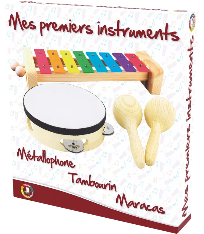 SET MUSICAL : 3 INSTRUMENTS